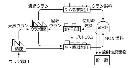 核燃料サイクル